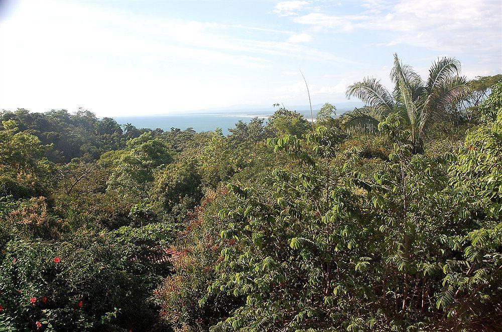 Hotel California Manuel Antonio Bagian luar foto